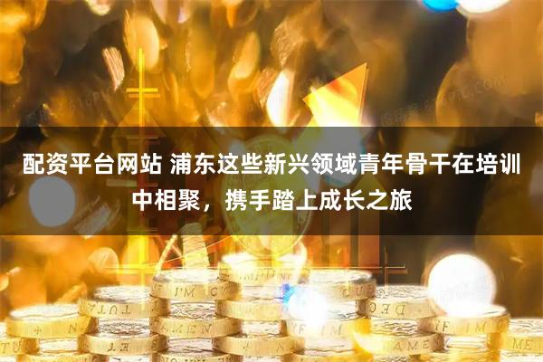 配资平台网站 浦东这些新兴领域青年骨干在培训中相聚，携手踏上成长之旅