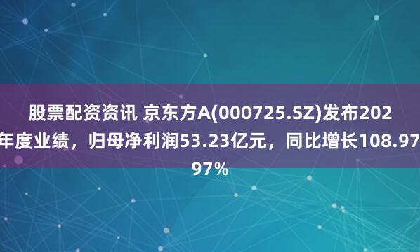 股票配资资讯 京东方A(000725.SZ)发布2024年度业绩，归母净利润53.23亿元，同比增长108.97%