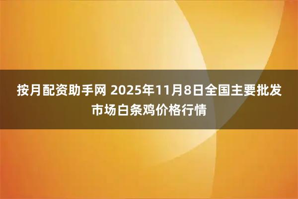 按月配资助手网 2025年11月8日全国主要批发市场白条鸡价格行情