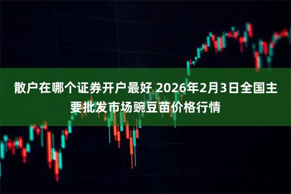 散户在哪个证券开户最好 2026年2月3日全国主要批发市场豌豆苗价格行情