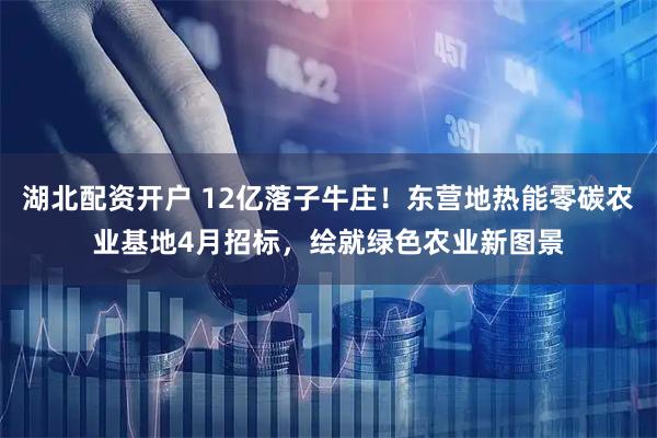 湖北配资开户 12亿落子牛庄！东营地热能零碳农业基地4月招标，绘就绿色农业新图景