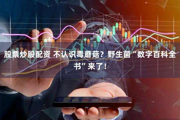 股票炒股配资 不认识毒蘑菇？野生菌“数字百科全书”来了！