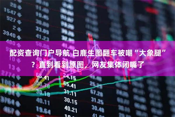配资查询门户导航 白鹿生图翻车被嘲“大象腿”？直到看到原图，网友集体闭嘴了